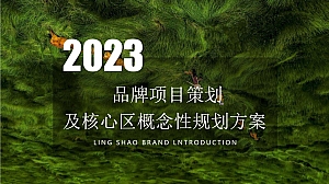 文旅项目城市文旅田园综合体项目策划及核心区概念性规划方案