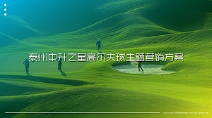 奔驰高尔夫营销方案