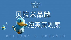 贝拉米泡芙品牌策划方案