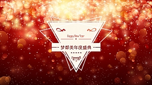 梦都美十周年庆年会方案