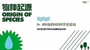 哈尔滨万象汇周年庆主题美陈方案