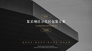 地产项目示范区包装方案
