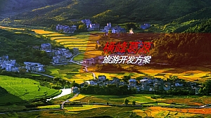 四季IP活动推广(自行车赛,杨梅美食节,摄影展)