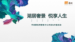 华润景悦湾营销中心开放到开盘全系列营销活动铺排细案