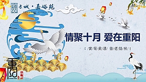 地产项目重阳节主题活动方案