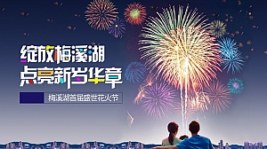 麓云国际新年花火节活动方案