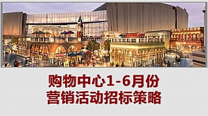 购物中心1-6月份营销活动方案