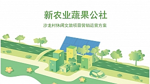 农业生态文旅项目营销运营案