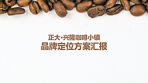 咖啡小镇品牌定位推广方案汇报