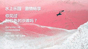 地产项目粉色水上派对活动策划方案