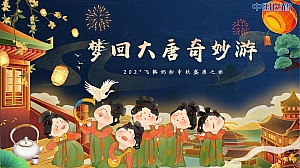 飞鹤奶粉中秋梦回大唐游园会主题活动方案