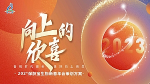 商业服务新春年会策划方案