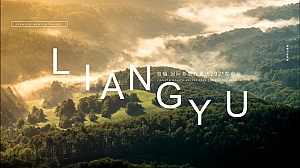 良瑜国际养生森系谷发布会策划方案