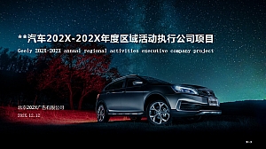 汽车品牌年度区域活动执行公司项目