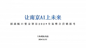 南京招商蛇口紫金智谷产业园全案推广