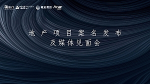 地产项目案名发布及媒体见面会