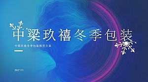 冬季包装建议方案