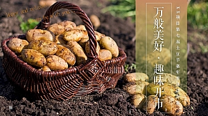 地产项目土豆节嘉年华活动方案