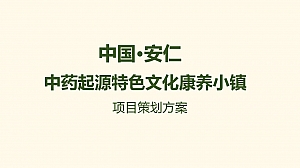 中药起源特色文化康养小镇策划方案
