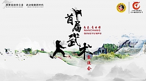 国际武术交流会创意方案