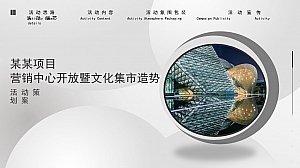 地产项目营销中心开放暨文化集市造势