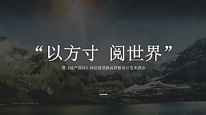 地产项目西区组团新品样板设计发布酒会(以方寸 阅世界主题)活动策划方案