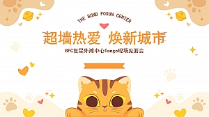 地产项目萌宠主题暖场互动方案