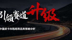 中国皮卡市场商用品类策略