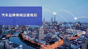 某汽车品牌商城运营规划