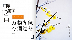 十一月十二月月度商业地产暖场活动策划方案