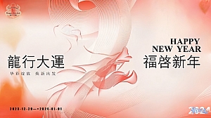 龙年年会活动策划案