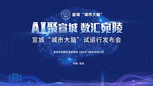 AI聚宣城 数汇宛陵 活动方案