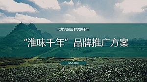“淮味千年”农产品品牌推广方案