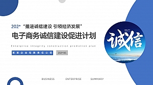 某省电子商务诚信建设促进计划