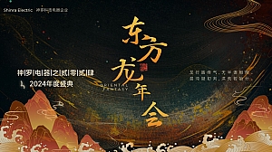 电器品牌商业活动龙年年会