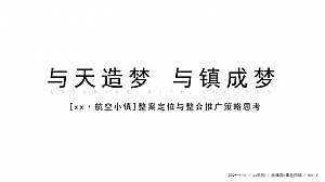 禹洲航空小镇推广策略提报空港产城小镇