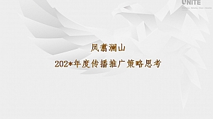 山水叠院年度传播推广策略方案