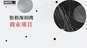 恒裕深圳湾商业市场及竞品项目分析