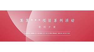 某某项目新年(包装)系列活动策划方案