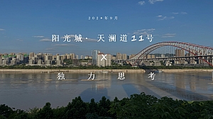 阳光城·天澜道11号年度推广方案