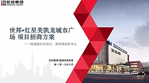 世邦· 红星美凯龙城市广场项目招商方案-47P