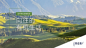 蒙牛特仑苏有机奶向往的有机生活线上营销方案