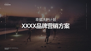 年度营销家电品牌营销方案