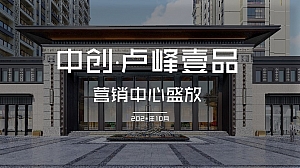 中创·卢峰壹品营销中心开放活动