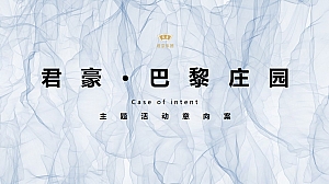 法式别墅地产全年大型主题活动意向案
