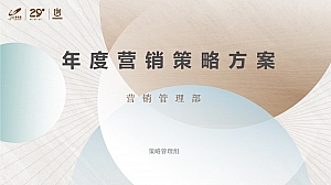 碧桂园年度营销策略方案