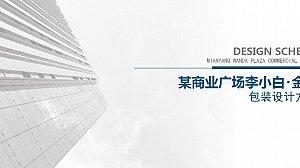 某商业街主题街区定位、IP策略及包装设计方案
