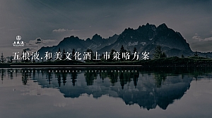 五粮液和美上市策略方案(含视频)