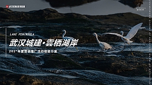 地产项目年度营销推广活动框架方案