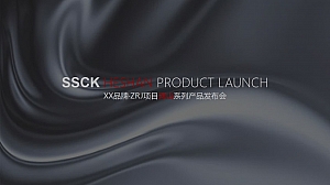 地产案名发布会活动方案